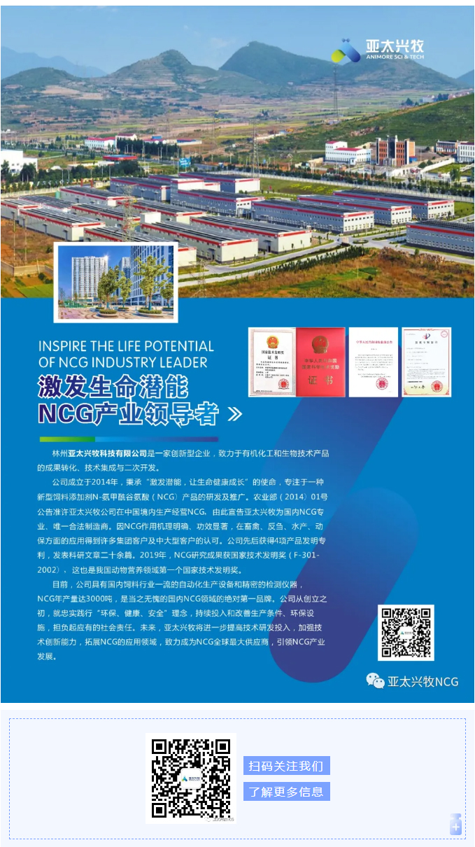 精康壯對(duì)肉牛生產(chǎn)性能的影響_04