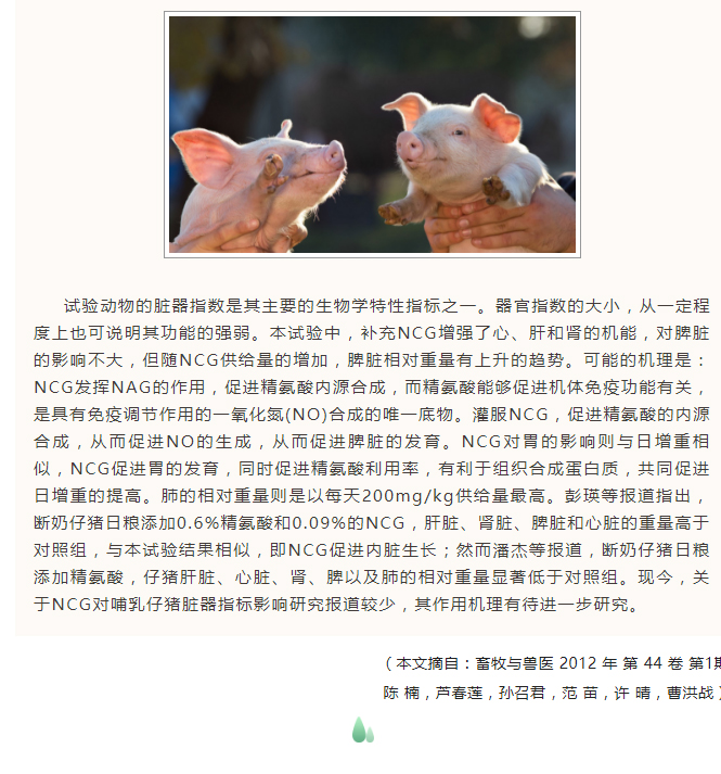NCG對哺乳仔豬生產(chǎn)性能和臟器指標的影響_03