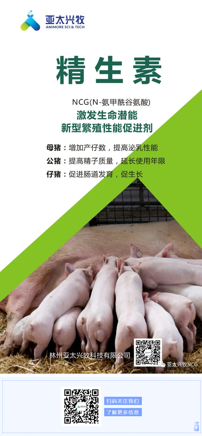 NCG對哺乳仔豬生產(chǎn)性能和臟器指標的影響_04